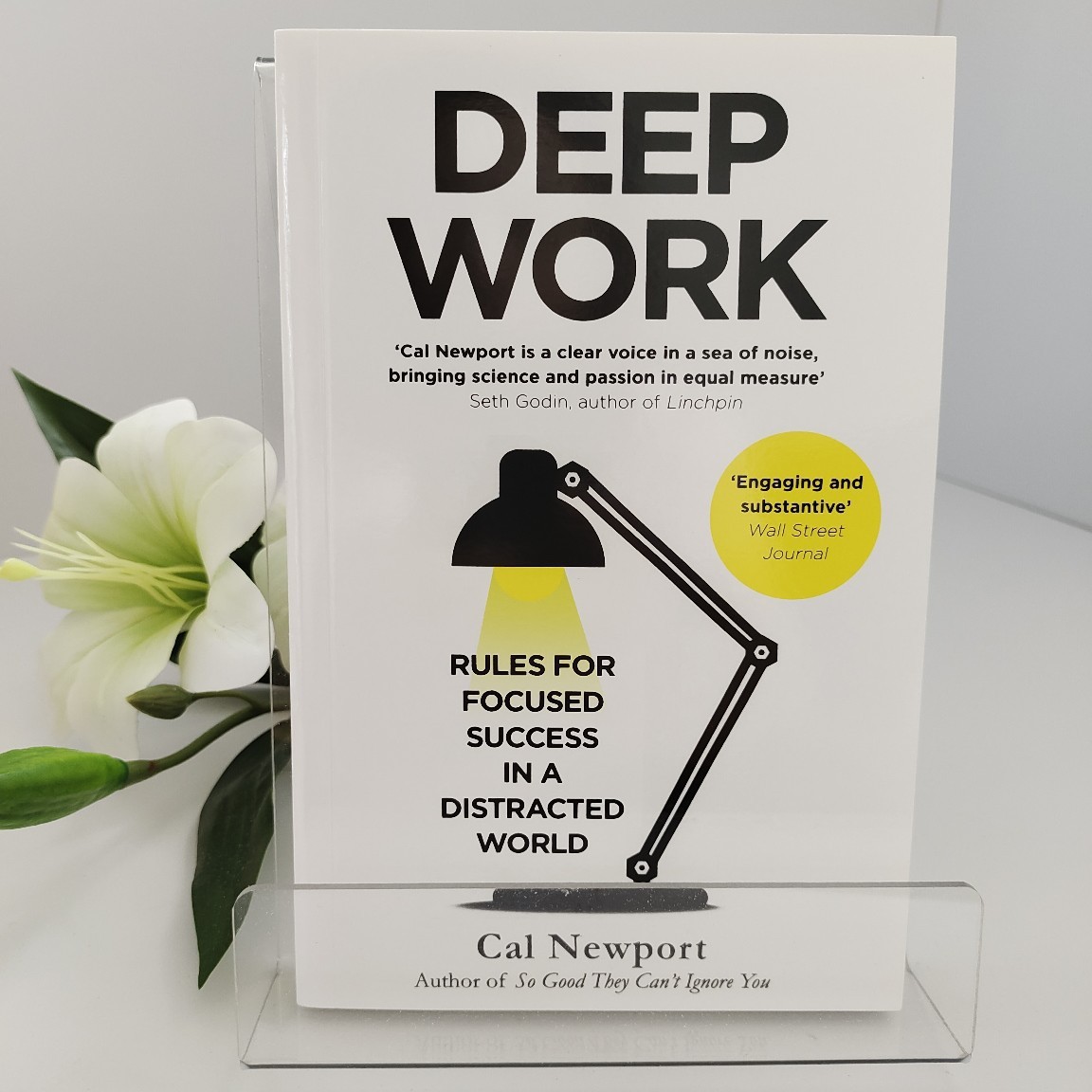 Renewable Energy Books - Deep Work by Cal Newport |