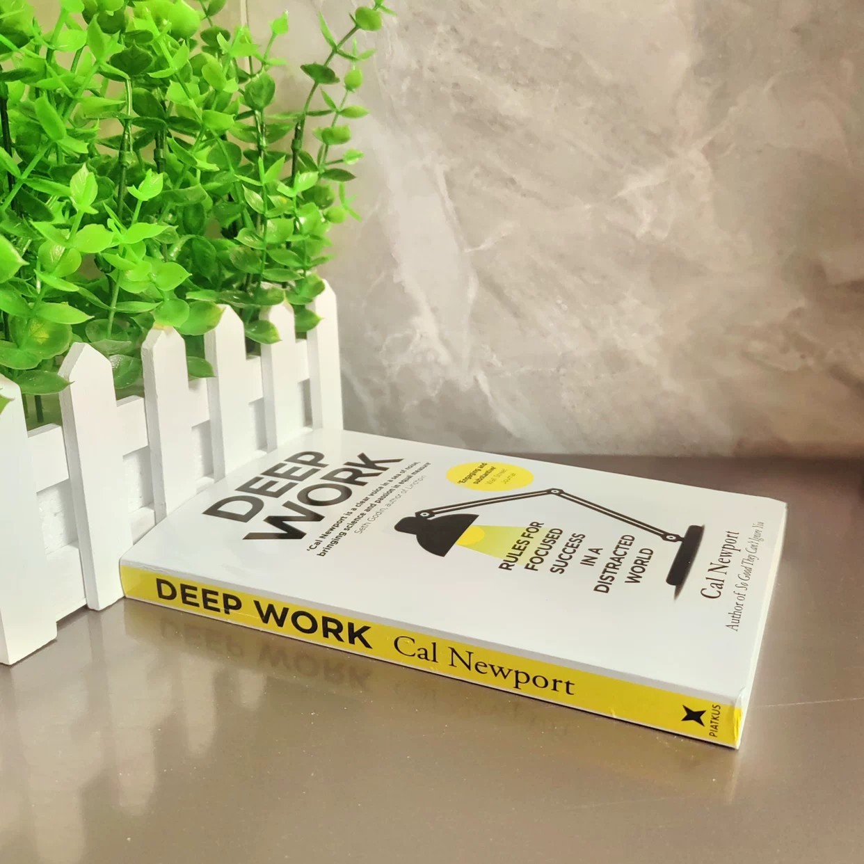 Deep Work by Cal Newport | Rul - Renewable Energy Books 评论和价格